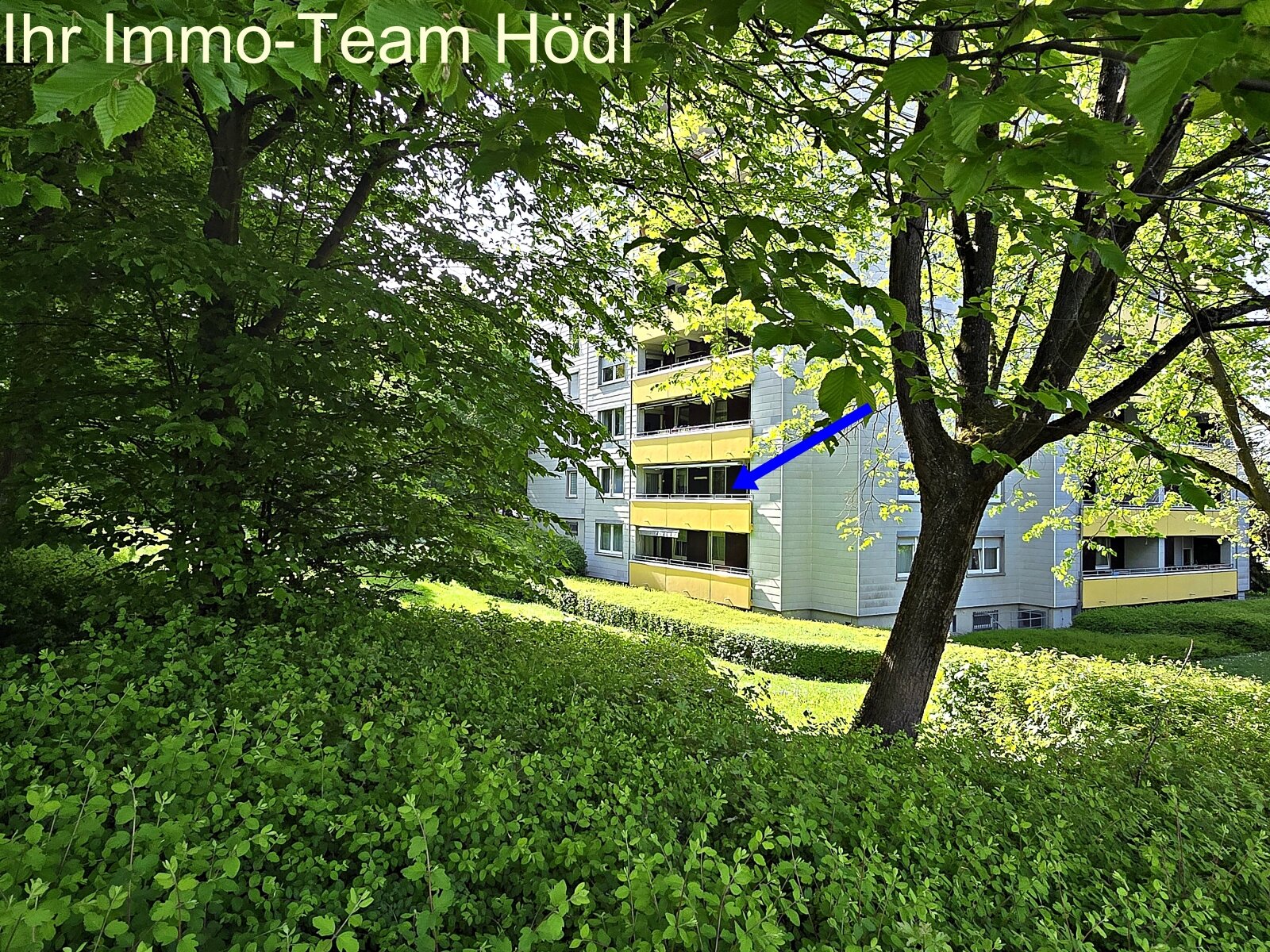 Große Wohnung mit Blick ins Grüne sucht neuen Eigentümer!!  Große Wohnung mit Blick ins Grüne sucht neuen Eigentümer!!